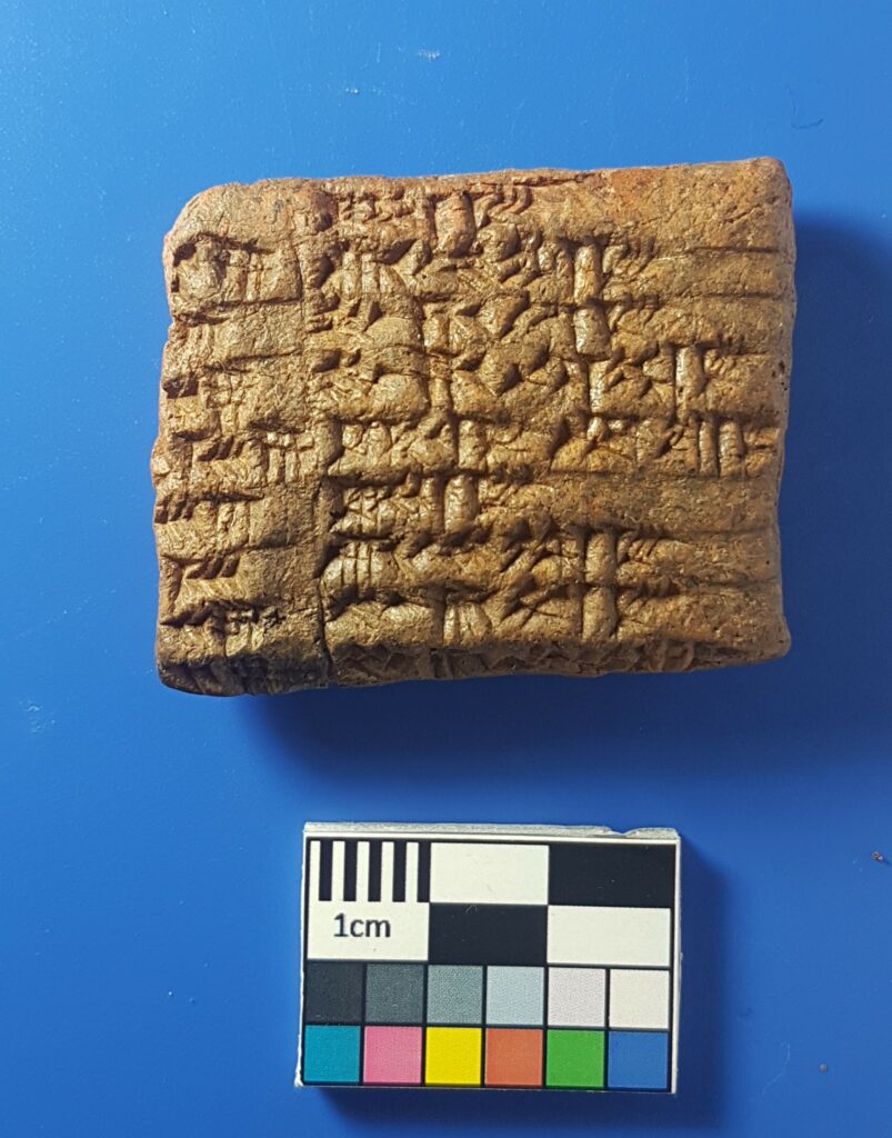 A new Elamite Archive