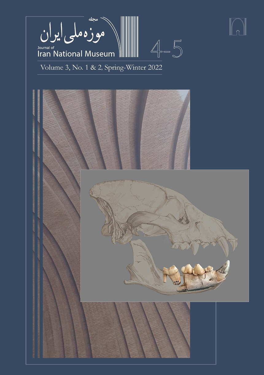 Paleopathological assessment of the ancient Iranian salt mummies #1, #7 and #X, Chehrābād salt mine of Douzlākh, Iran